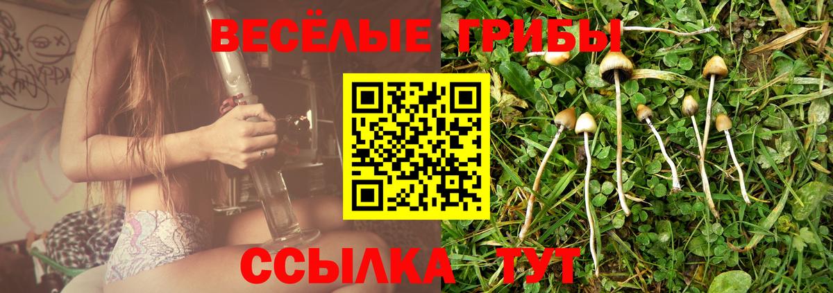 Электрогорск  Галлюциногенные грибы Psilocybine cubensis  Галлюциногенные грибы мухоморы  Вход с VPN 
